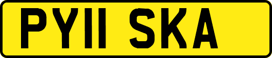 PY11SKA