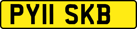 PY11SKB