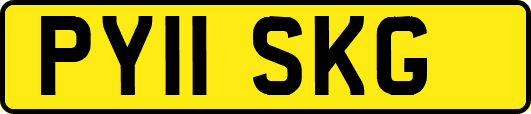 PY11SKG
