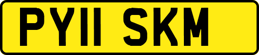 PY11SKM