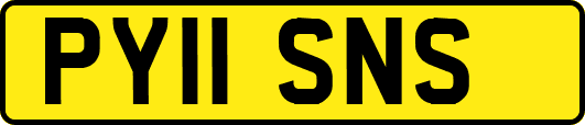 PY11SNS