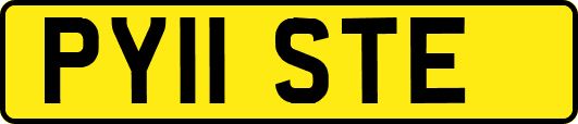 PY11STE