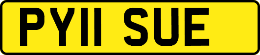 PY11SUE