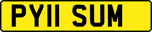 PY11SUM