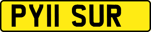 PY11SUR