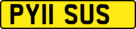PY11SUS