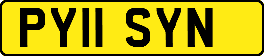 PY11SYN