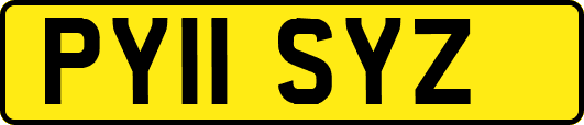 PY11SYZ