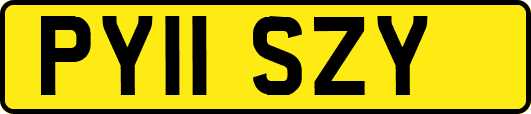 PY11SZY