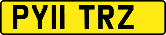 PY11TRZ