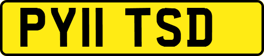 PY11TSD