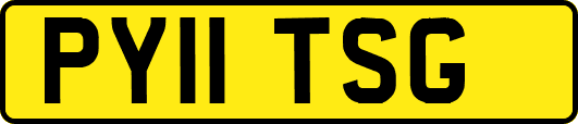 PY11TSG