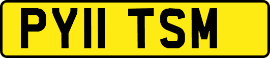 PY11TSM