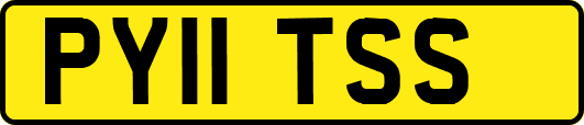 PY11TSS