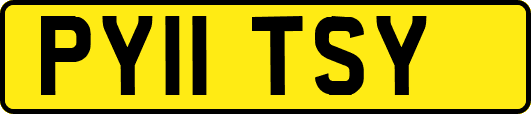 PY11TSY