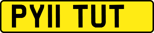 PY11TUT