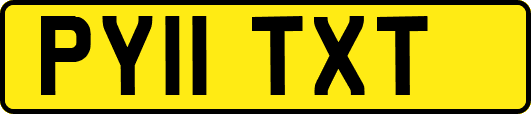PY11TXT