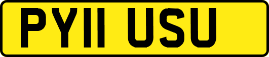 PY11USU