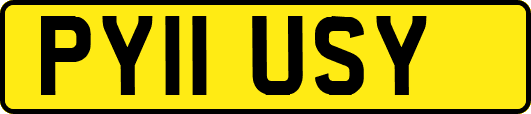 PY11USY