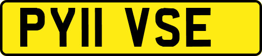 PY11VSE