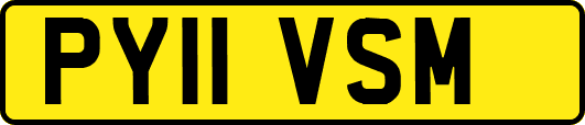 PY11VSM
