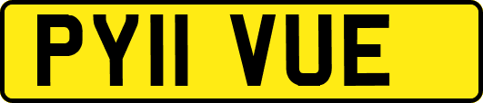 PY11VUE