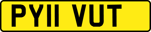 PY11VUT