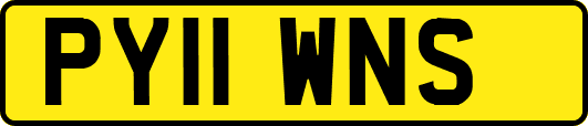 PY11WNS
