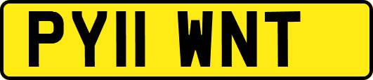 PY11WNT