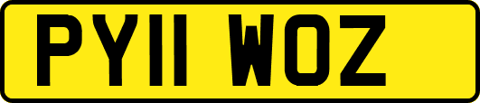 PY11WOZ