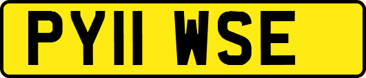 PY11WSE
