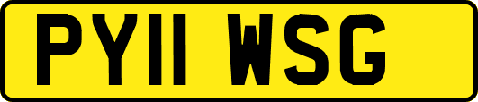 PY11WSG