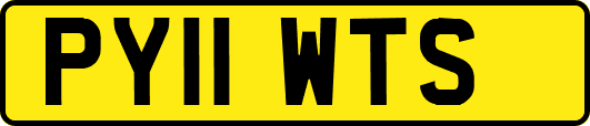 PY11WTS