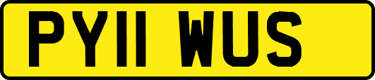 PY11WUS