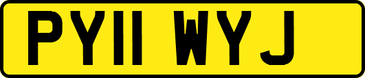 PY11WYJ