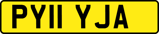 PY11YJA