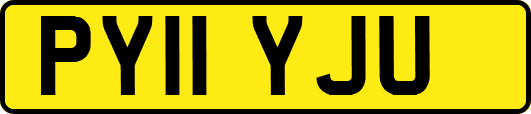 PY11YJU