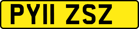 PY11ZSZ