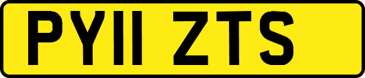 PY11ZTS
