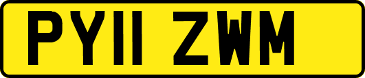PY11ZWM