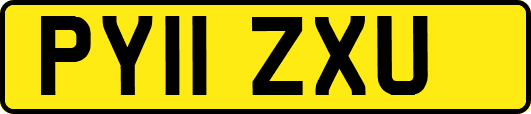 PY11ZXU