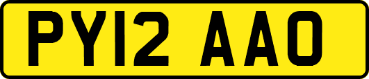 PY12AAO
