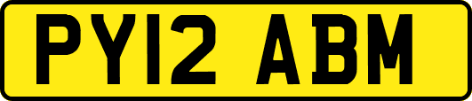 PY12ABM