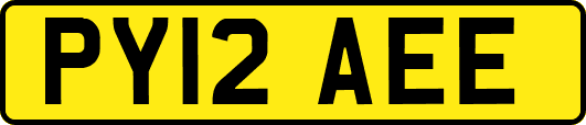 PY12AEE