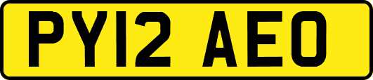 PY12AEO