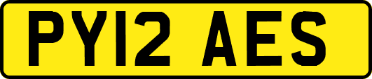 PY12AES
