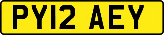 PY12AEY