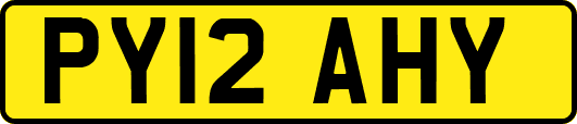 PY12AHY