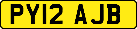 PY12AJB