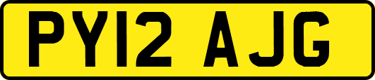 PY12AJG